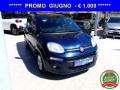 usato FIAT Panda