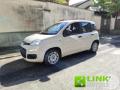 usato FIAT Panda