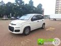 usato FIAT Panda