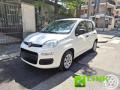 usato FIAT Panda