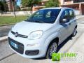 usato FIAT Panda