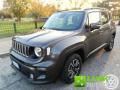 usato JEEP Renegade
