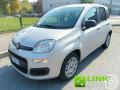 usato FIAT Panda