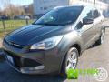 usato FORD Kuga