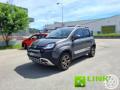 usato FIAT Panda Cross