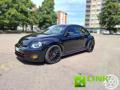usato VOLKSWAGEN Beetle