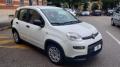 usato FIAT Panda