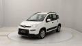 usato FIAT Panda