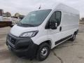 usato FIAT Ducato