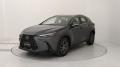 usato LEXUS NX 350h
