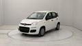 usato FIAT Panda