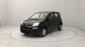 usato FIAT Panda