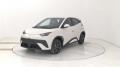 usato BYD Dolphin Surf