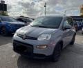 usato FIAT Panda