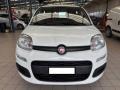 usato FIAT Panda