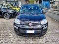 usato FIAT Panda