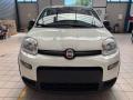 usato FIAT Panda