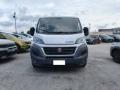 usato FIAT Ducato