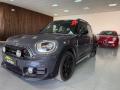 usato MINI Countryman