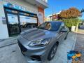 usato FORD Kuga