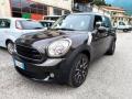usato MINI Countryman
