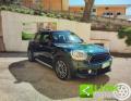 usato MINI Countryman