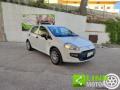 usato FIAT Punto Evo