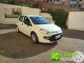 usato FIAT Punto Evo