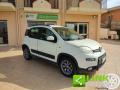 usato FIAT Panda