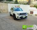 usato JEEP Renegade