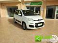 usato FIAT Panda