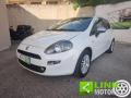 usato FIAT Punto