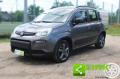 usato FIAT Panda