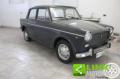usato FIAT 1100