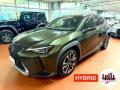 usato LEXUS UX 250h
