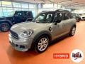 usato MINI Countryman