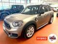 usato MINI Countryman