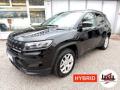 usato JEEP Compass