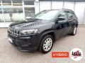 usato JEEP Compass