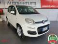 usato FIAT Panda