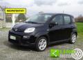 usato FIAT Panda