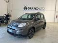 usato FIAT Panda