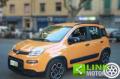 usato FIAT Panda