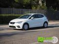 usato SEAT Ibiza