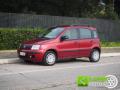 usato FIAT Panda