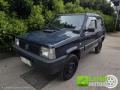 usato FIAT Panda