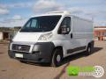 usato FIAT Ducato