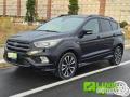 usato FORD Kuga