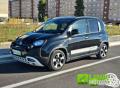 usato FIAT Pandina Cross