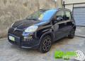 usato FIAT Panda